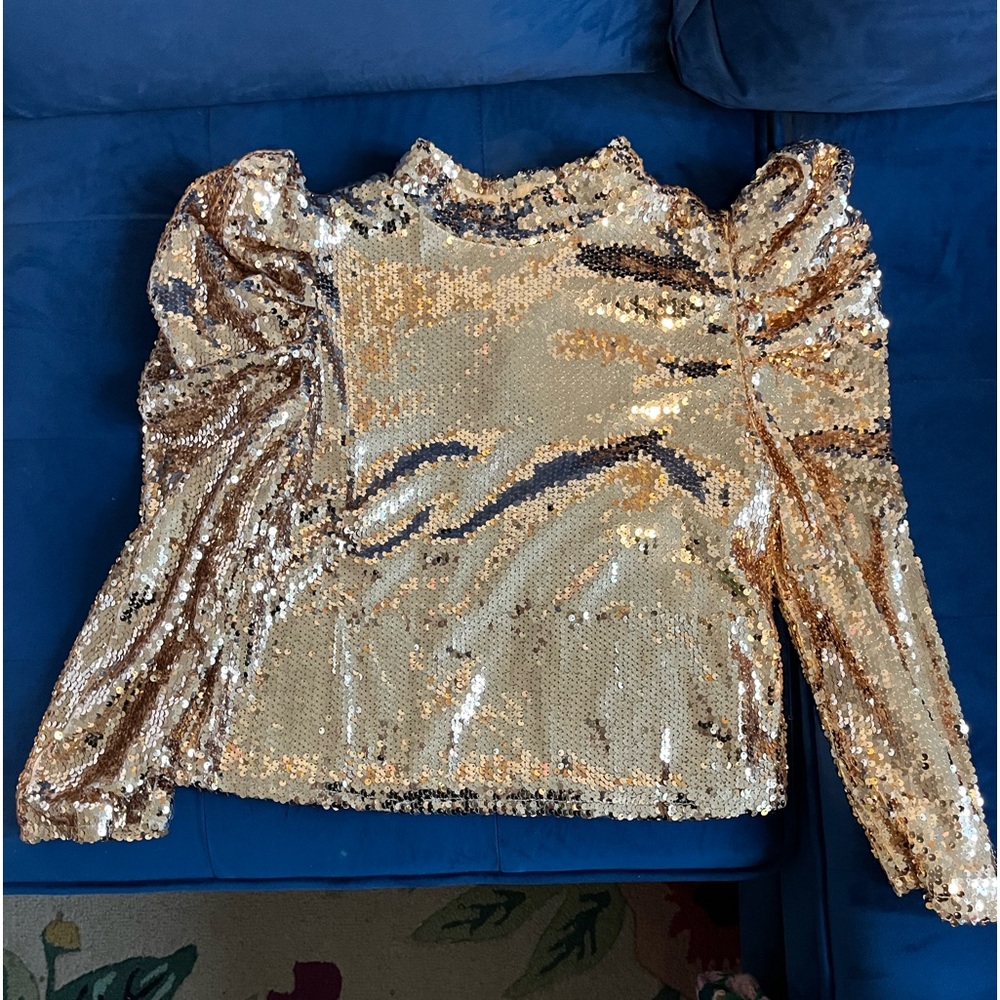 Sequin long sleeve fitted top! Fab’rik size Large